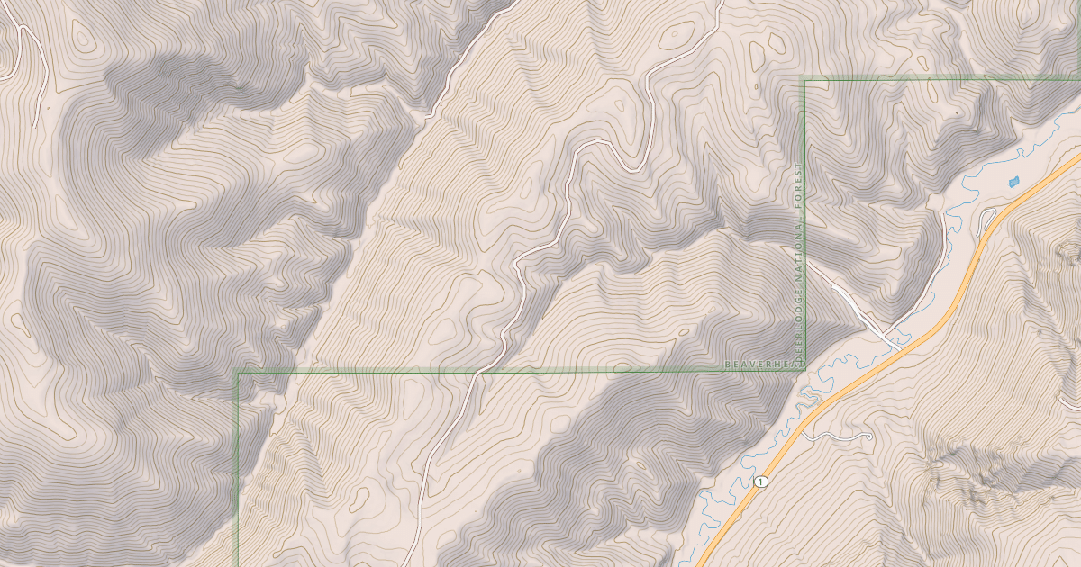 Map preview of USFS National Forest System Roads {04625C33-83AA-40A0-AA7F-CA1F82DFC7DB}