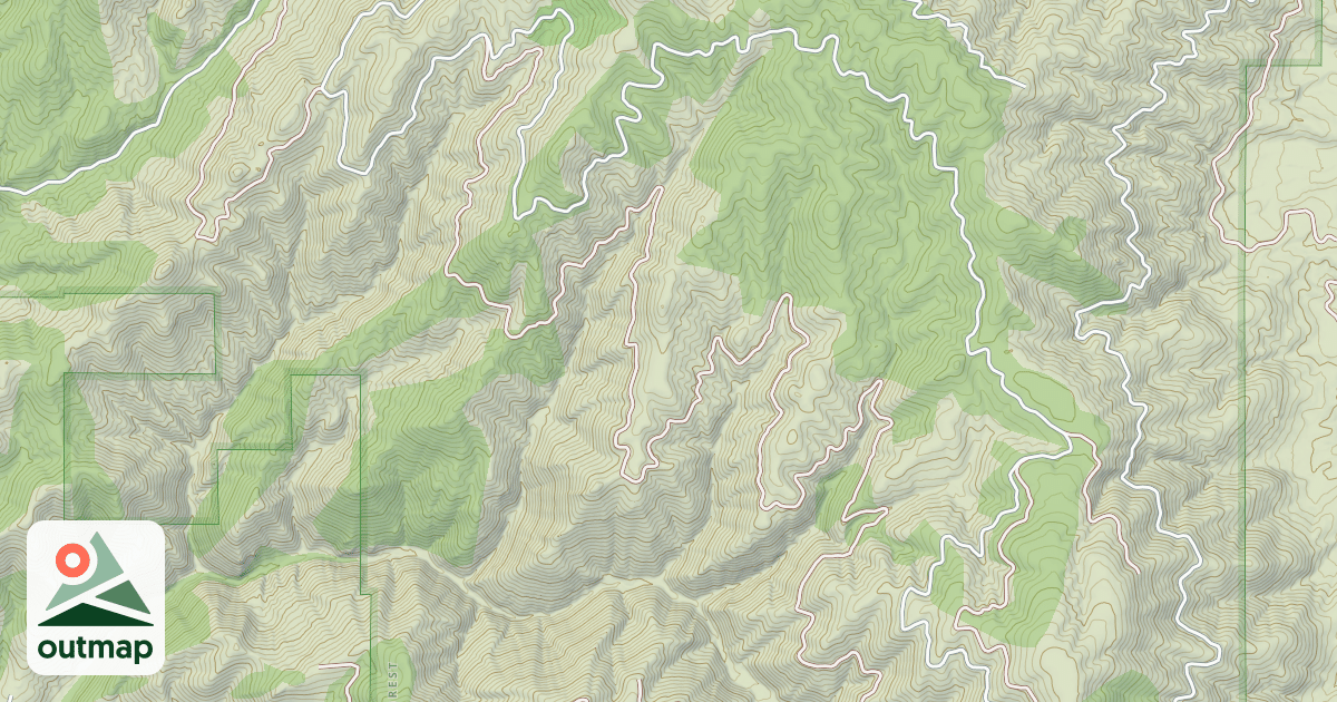 Map of (FDR) MEDICINE TREE