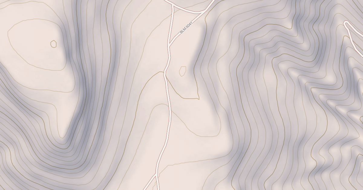 Map preview of BLM National GTLF Public Motorized Roads 59f6b247-828d-4e4f-b39f-07868095193f