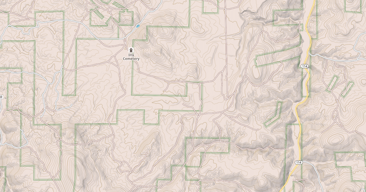Map preview of BLM National GTLF Public Motorized Roads 204f5348-5696-42b8-bc68-5d03b1ba3a8a