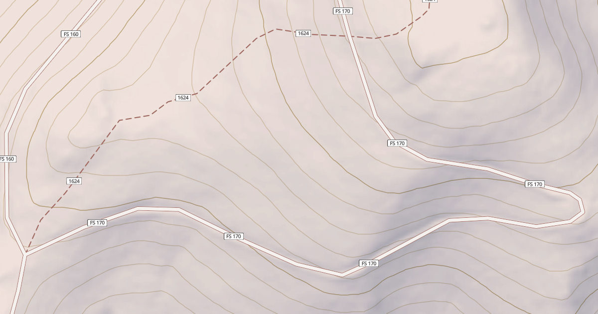 Map preview of USFS National Forest System Roads {9A4674F6-5CAB-4623-ADC9-9A94C52A8EE8}