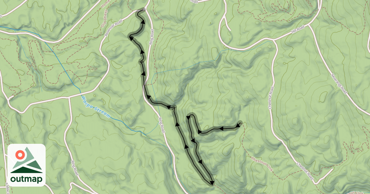 Map of Roller Coaster
