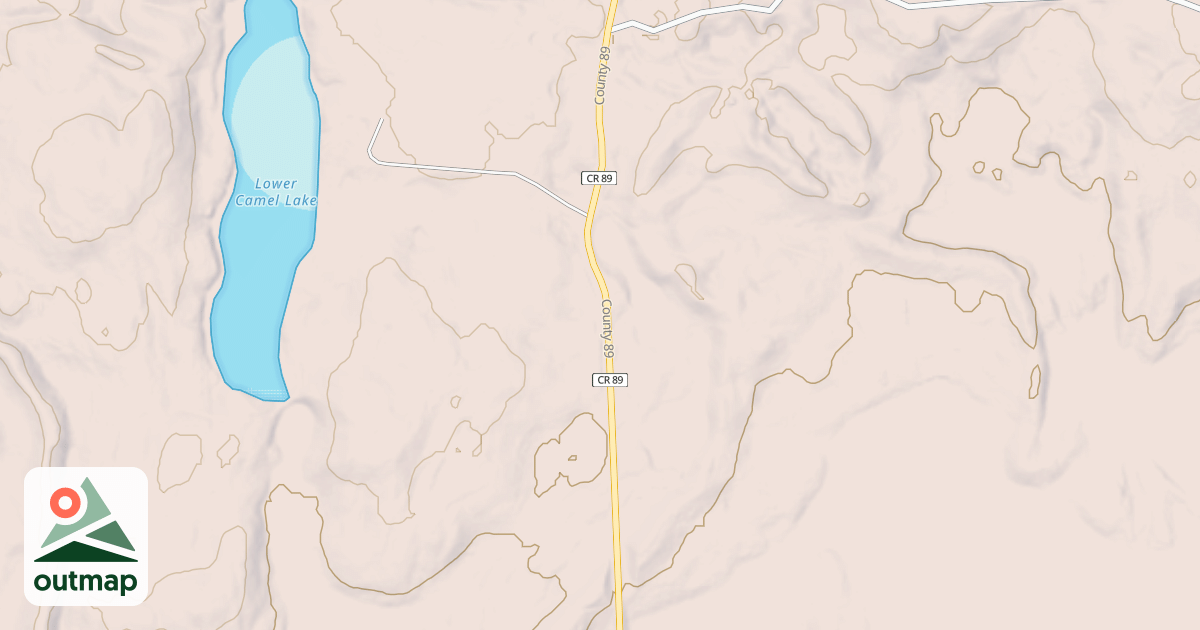Map of Forest Riders Trails
