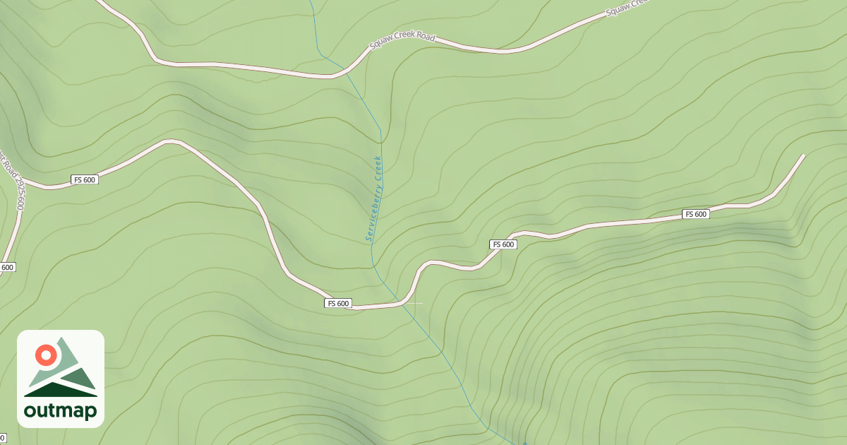 Map of BALD CAMP T.S.