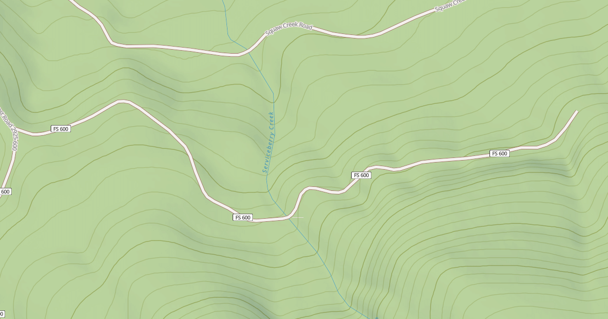 Map preview of BALD CAMP T.S.