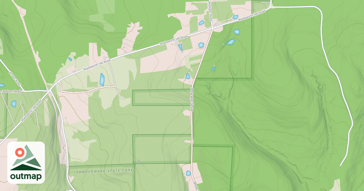 Map of C 2
