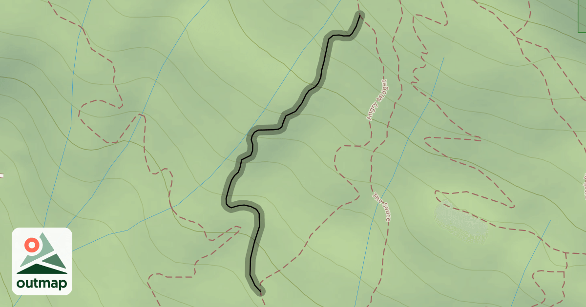 Map of Gerbil Track