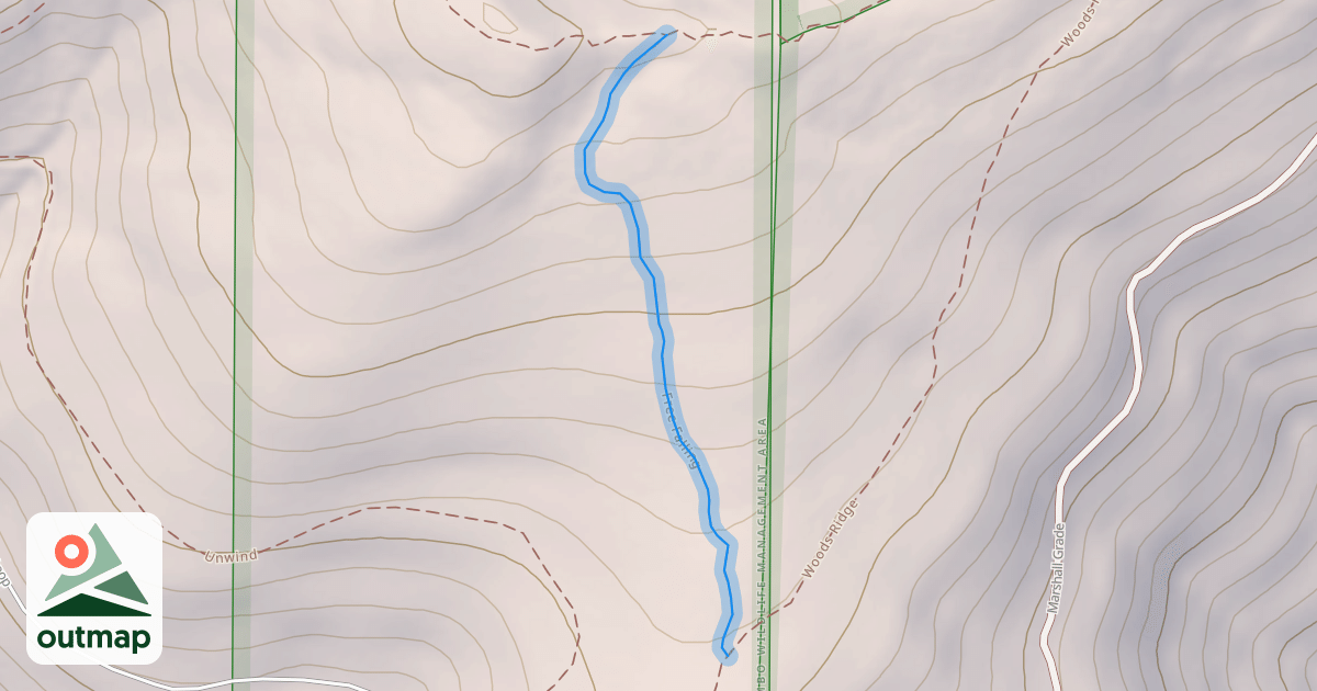 Map of Free Falling