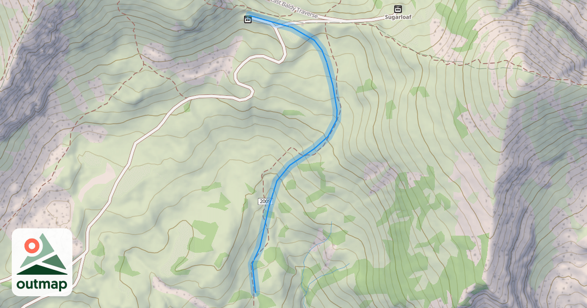 Map of Bird's Nest