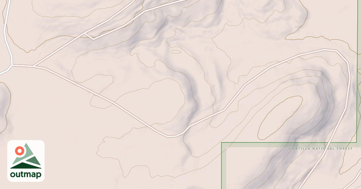 Map of USFS National Forest System Roads {7FC73798-36B5-46E7-8963-6ADA940F3D33}
