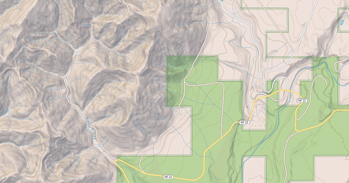 Map preview of USFS National Forest System Roads {992370B9-AFD4-4A7E-AC04-5ED6BD0A5B06}