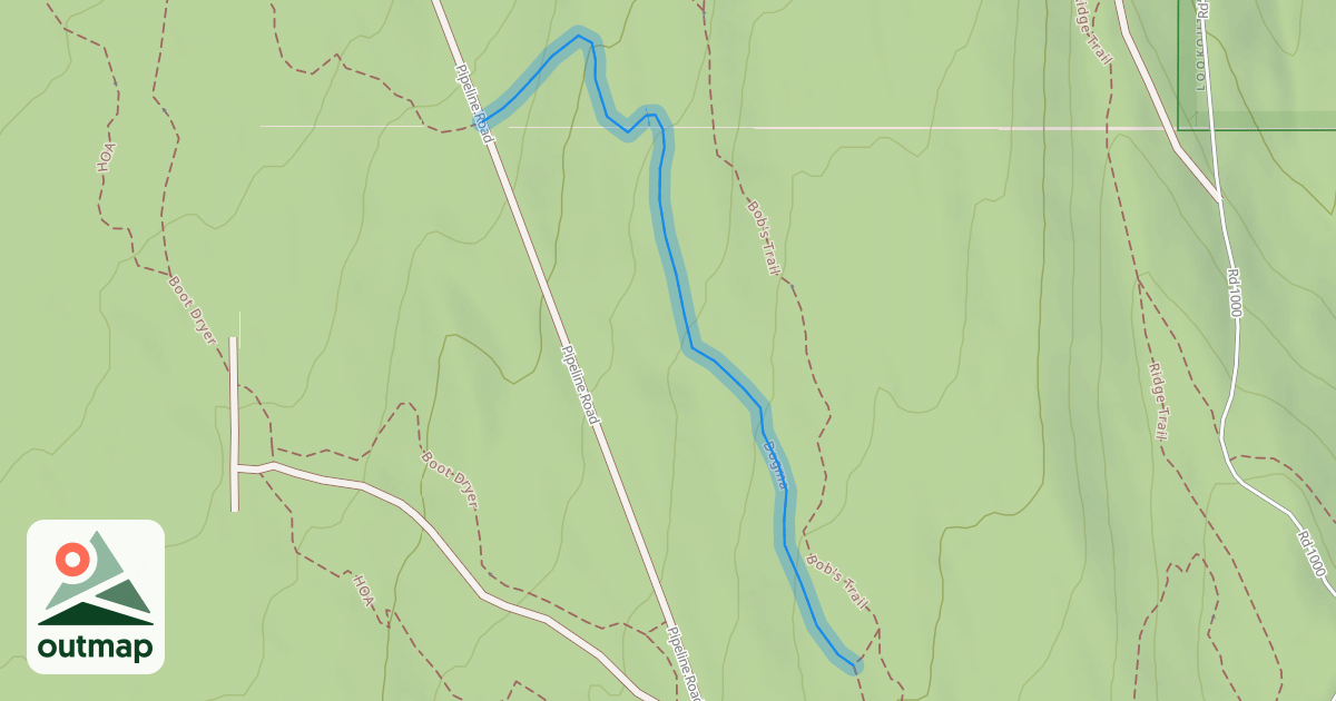 Map of Dogma