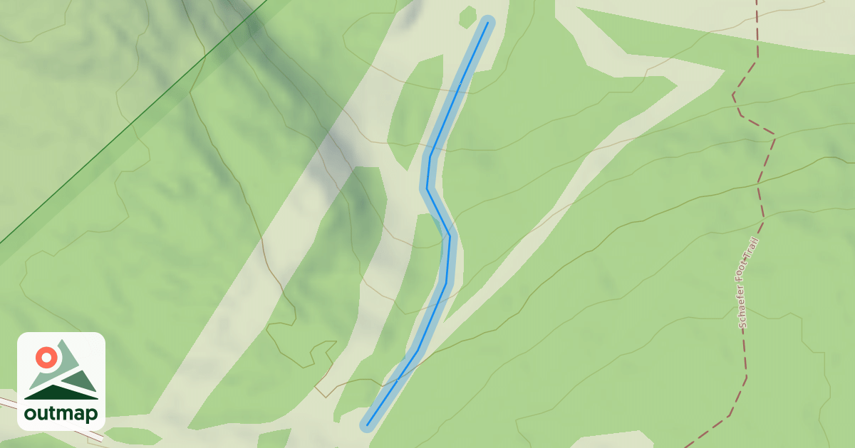 Map of Wood Lot South