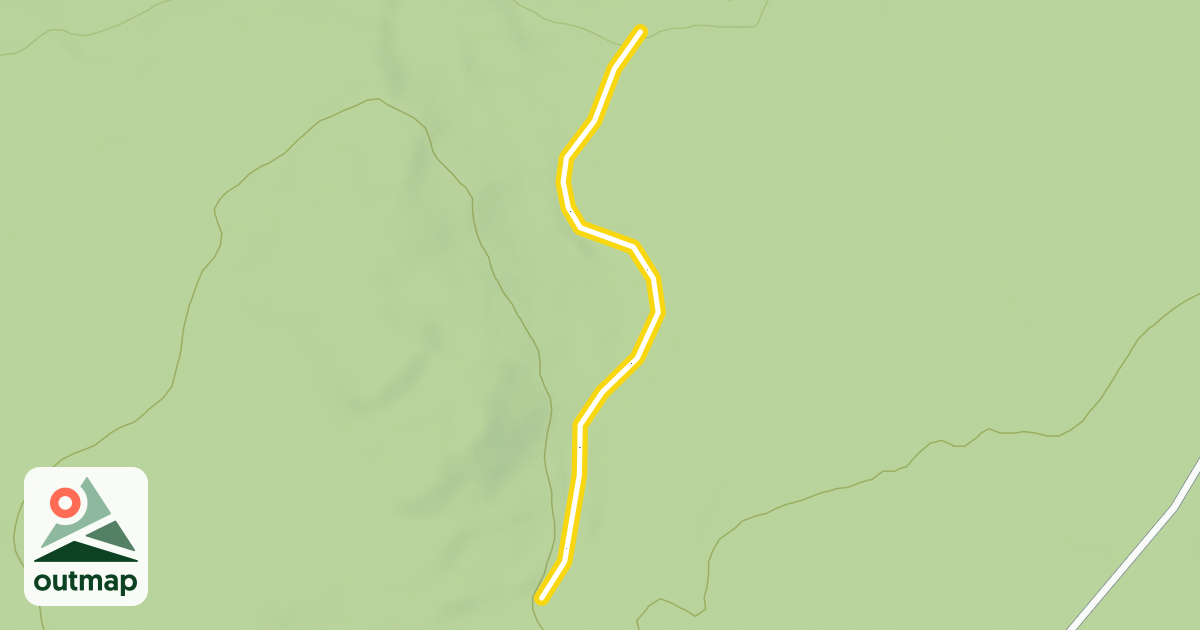 Map of Chow Main