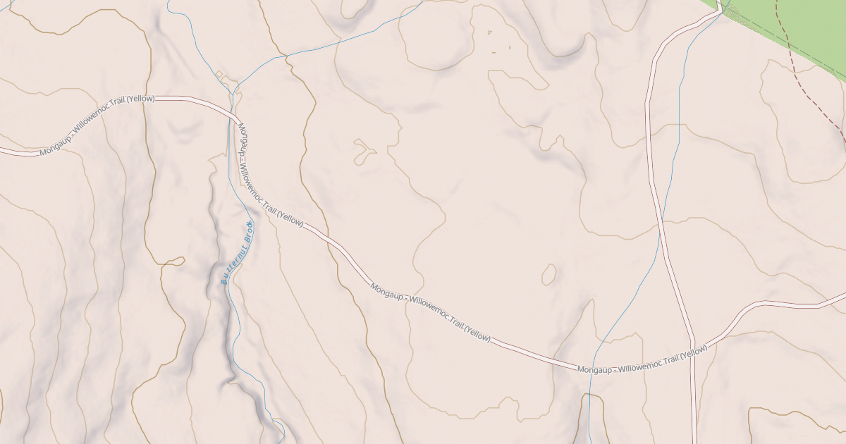 Map preview of Mongaup Willowemoc Trail