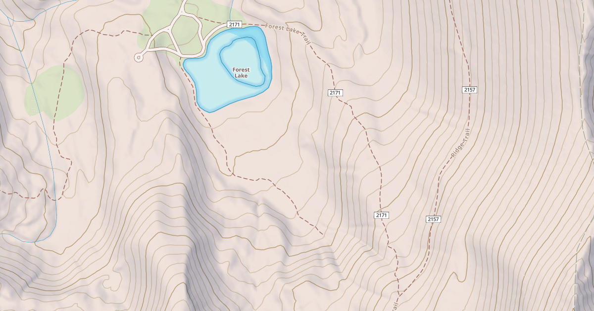 Map preview of Forest Lake