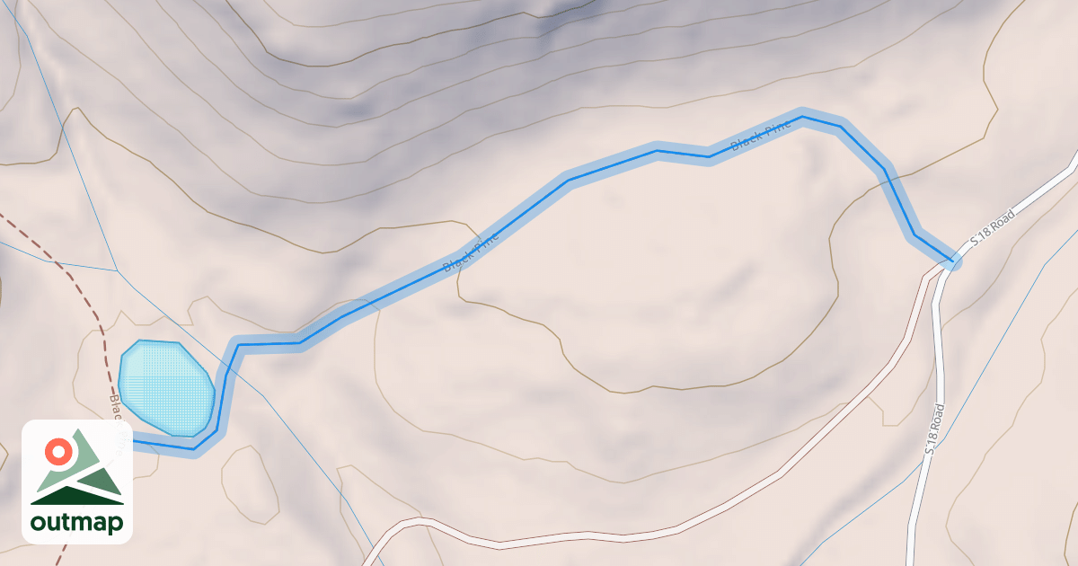 Map of Black Pine