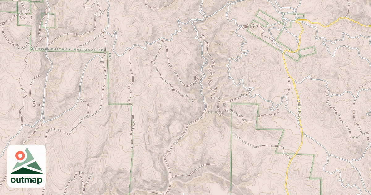 Map of USFS National Forest System Roads {84881E91-EB76-4EAA-862F-24091AF00A55}