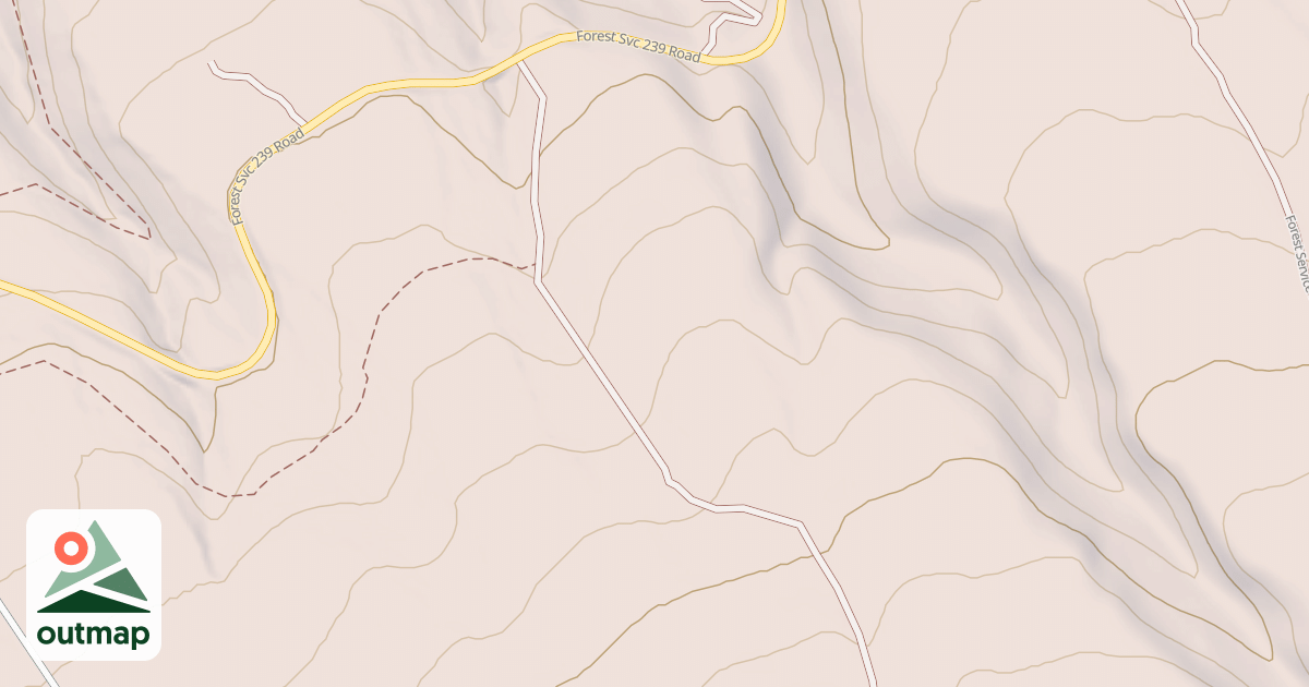 Map of USFS Motor Vehicle Use Map Roads {DE27A213-B209-4A6C-BF26-AFD0A23DE7F5}