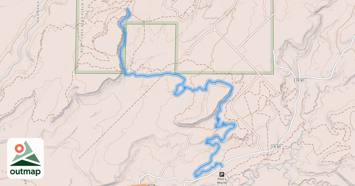 Map of Coco Race