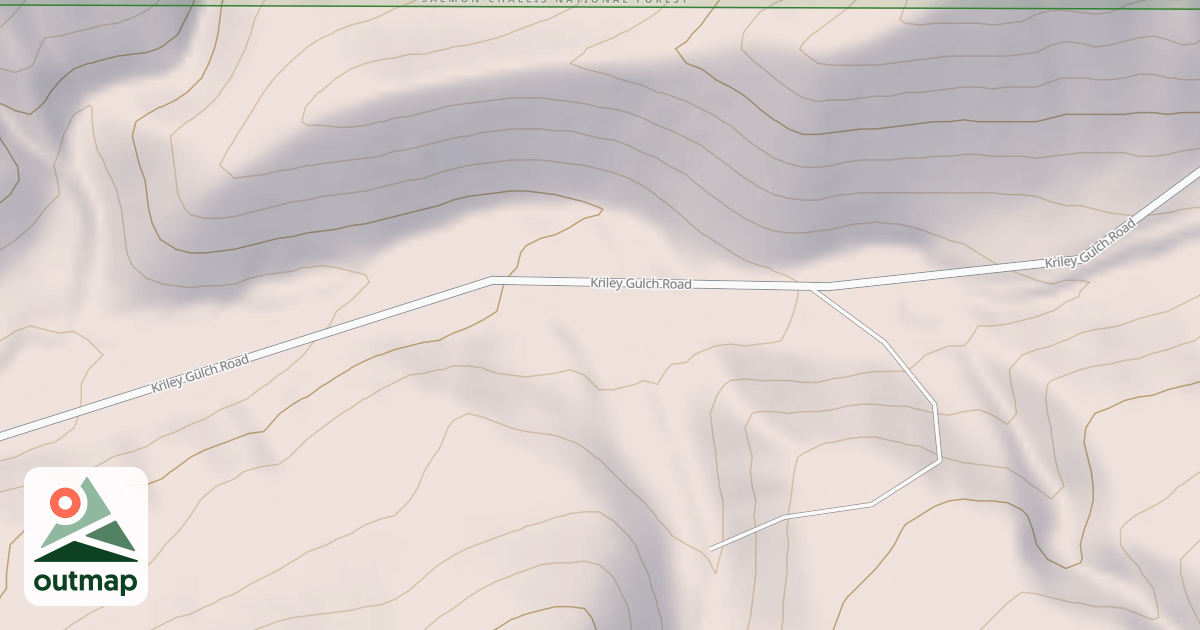 Map of BLM National GTLF Public Motorized Roads 2e89102c-a314-487f-bbbc-7d391c96c7c1