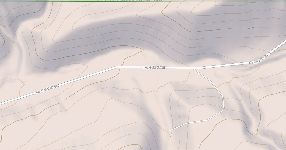 Map preview of BLM National GTLF Public Motorized Roads 2e89102c-a314-487f-bbbc-7d391c96c7c1