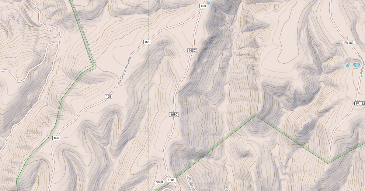 Map preview of USFS National Forest System Roads {4F9B1E0D-7015-4C52-8854-752639D37BF3}
