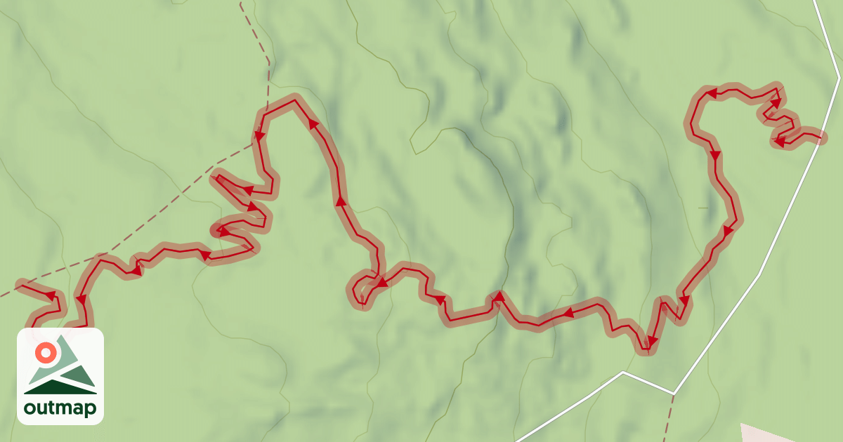 Map of Rock and Roll