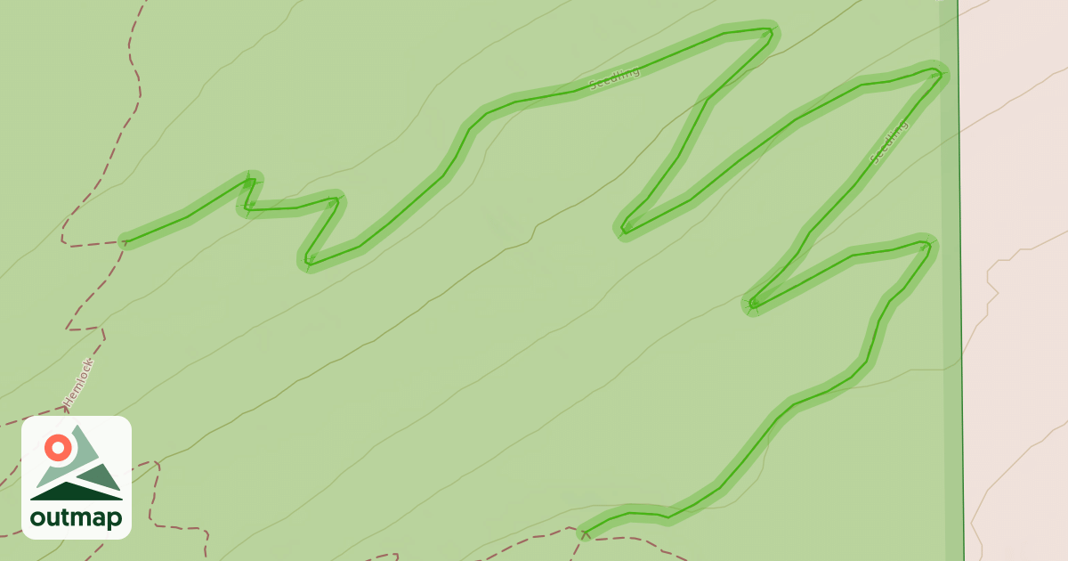 Map of Seedling