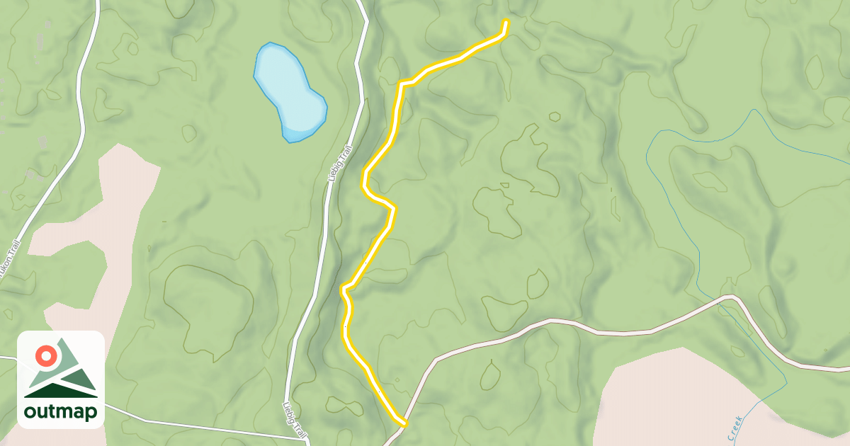 Map of Survivor