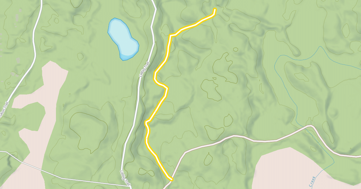 Map preview of Survivor