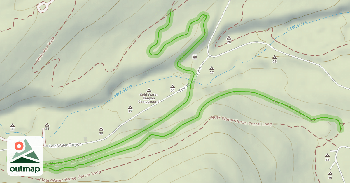 Map of Traily McTrail Face (TMF)