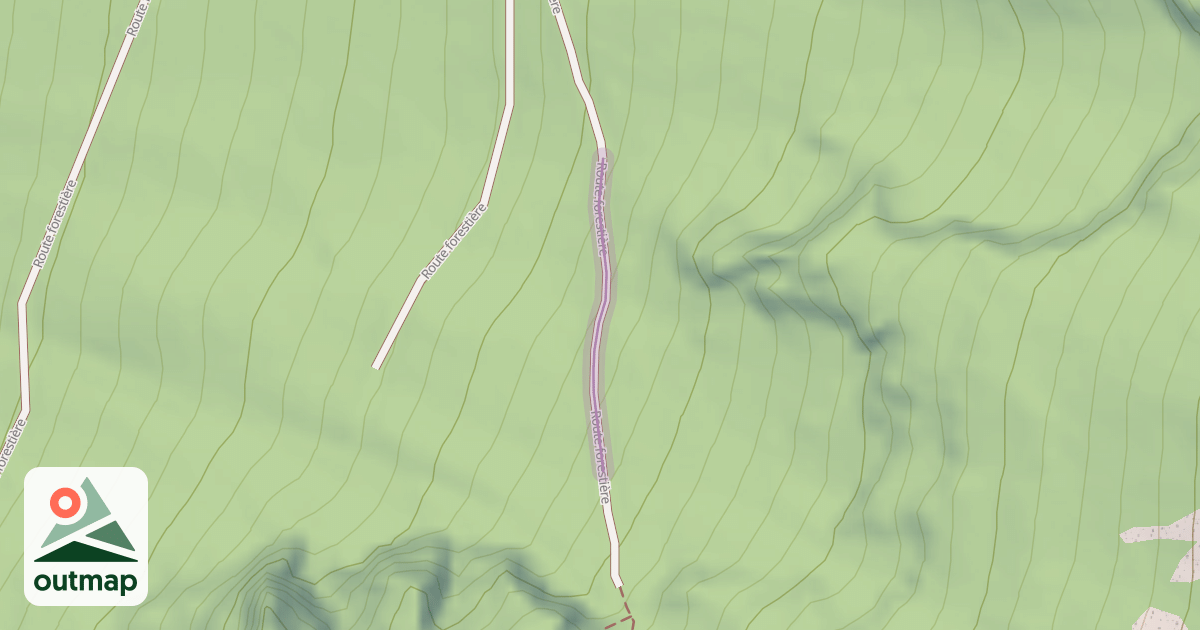 Map of Route forestière