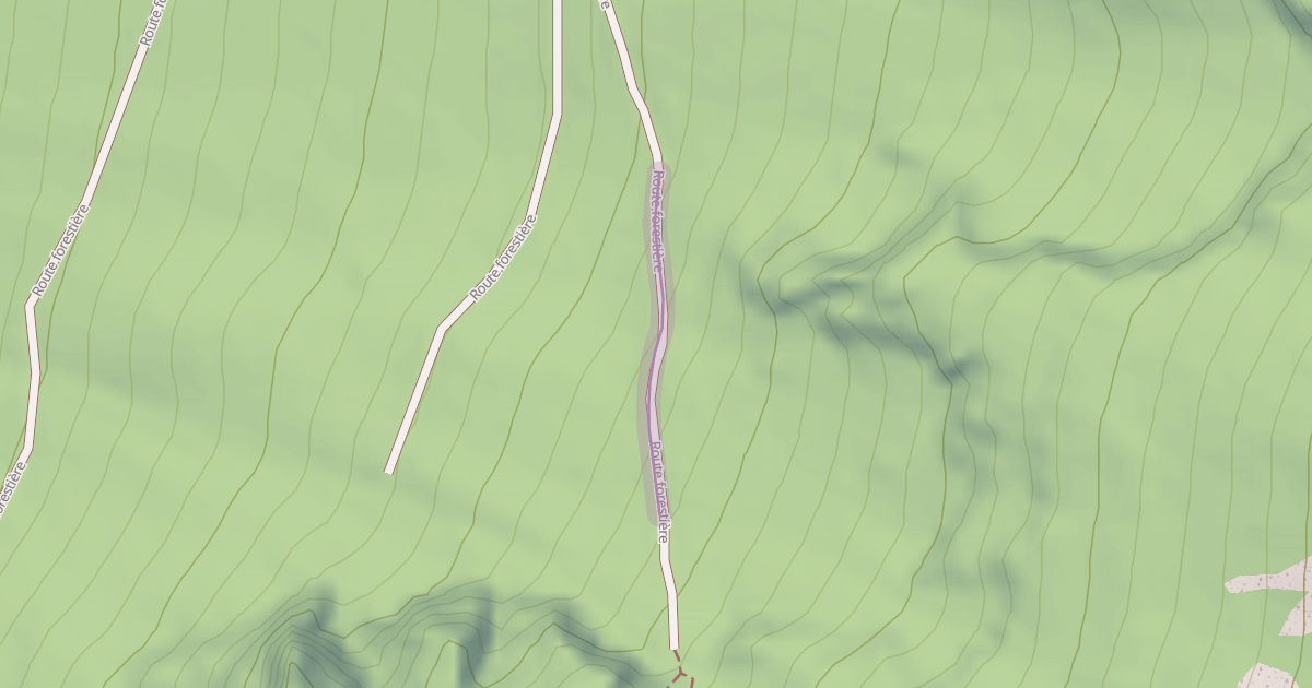 Map preview of Route forestière