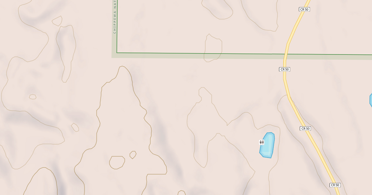 Map preview of CASS CO. 50 SPUR 2810