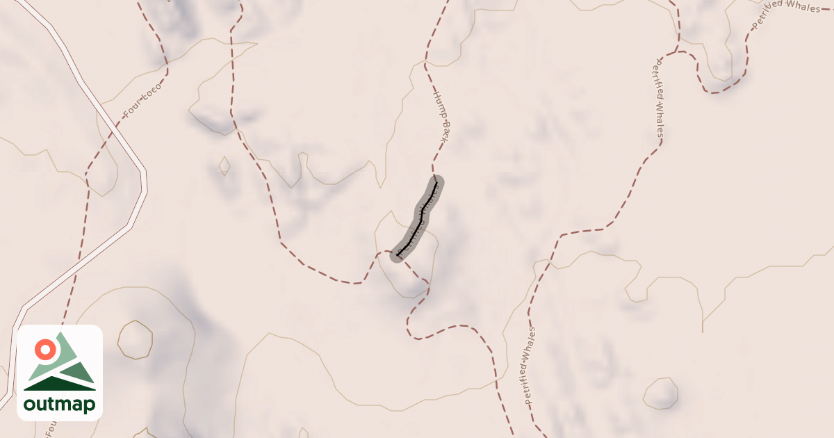 Map of Petrified Whales