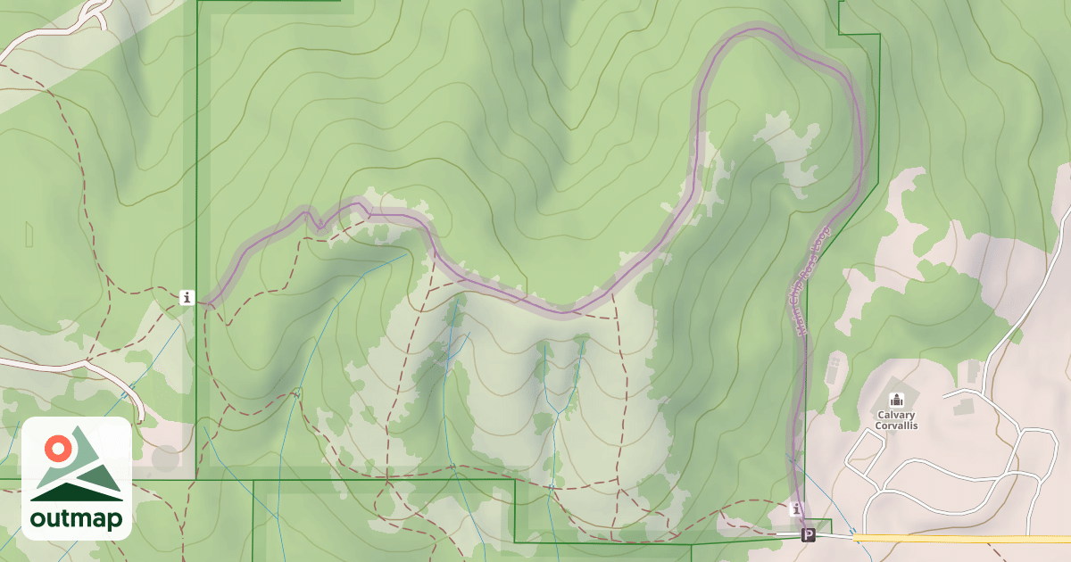 Map of Main Chip Ross Loop