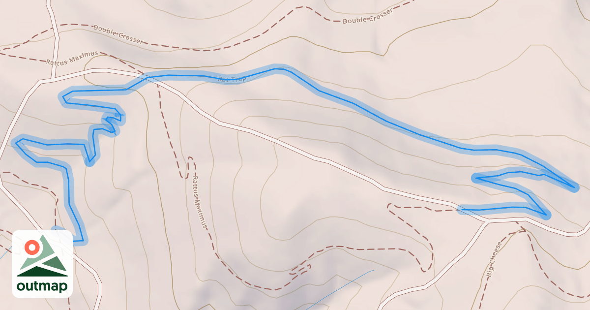 Map of Rat Trap