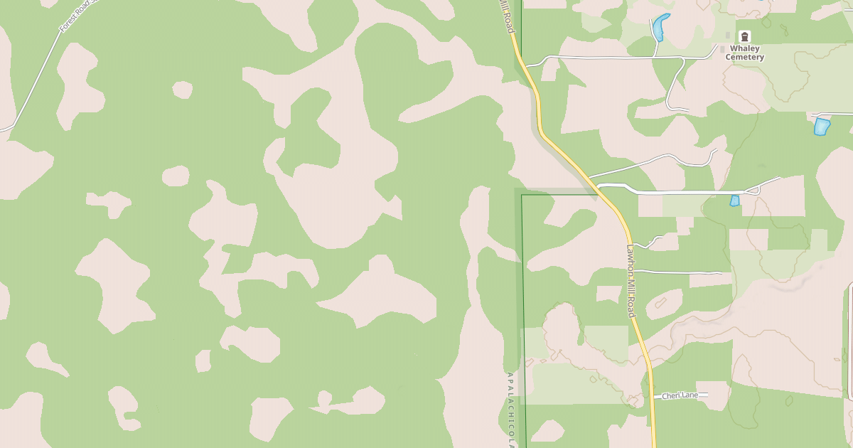 Map preview of USFS National Forest System Roads {191172FF-43D8-4EF8-AEC1-75CF205E5F50}