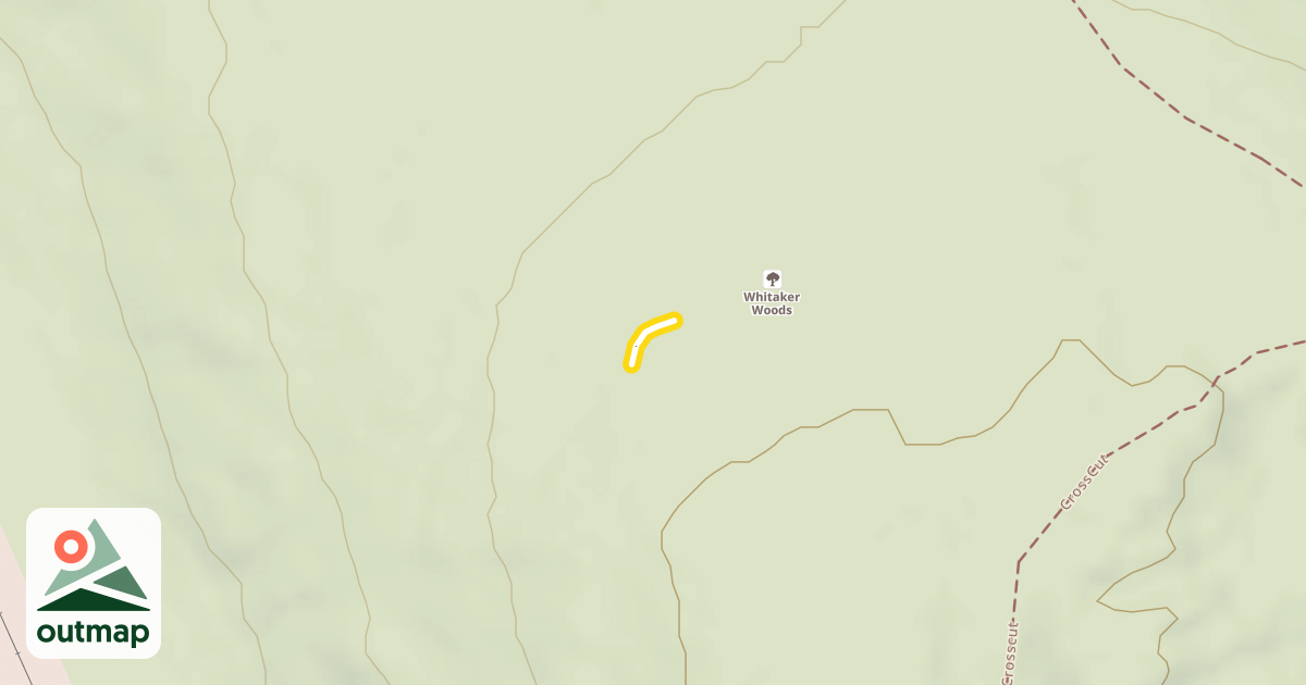 Map of Schuss