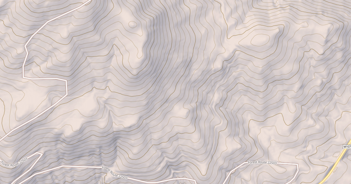 Map preview of DOG