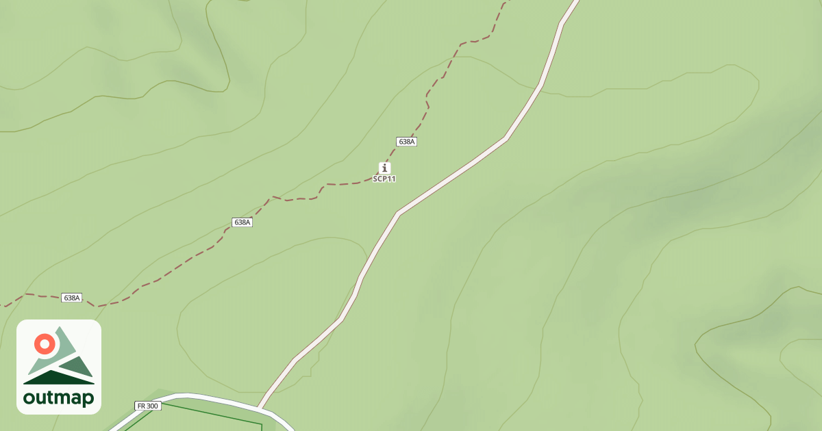 Map of USFS National Forest System Roads {290DF148-D35D-4DDC-AE2C-439E606DB396}