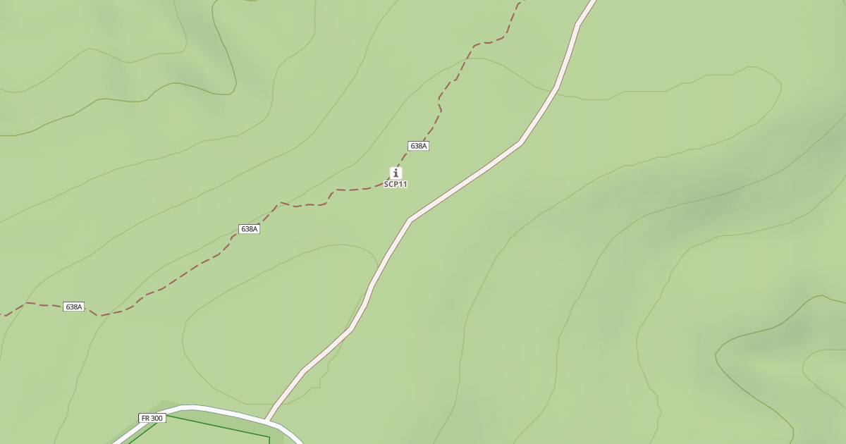 Map preview of USFS National Forest System Roads {290DF148-D35D-4DDC-AE2C-439E606DB396}
