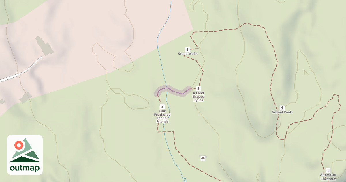 Map of Where in the Woods #7
