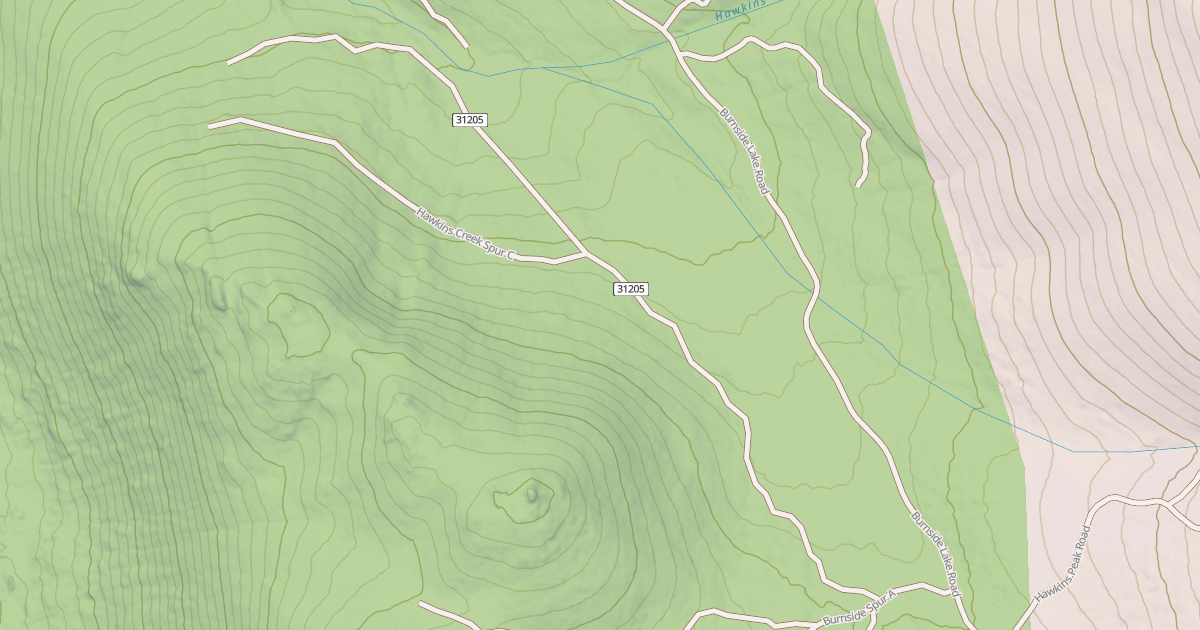 Map preview of BURNSIDE LAKE