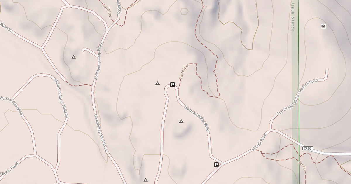 Map preview of BLM National GTLF Public Motorized Roads 3c0a582f-9d3a-4978-9fc3-9f9c70db89cb