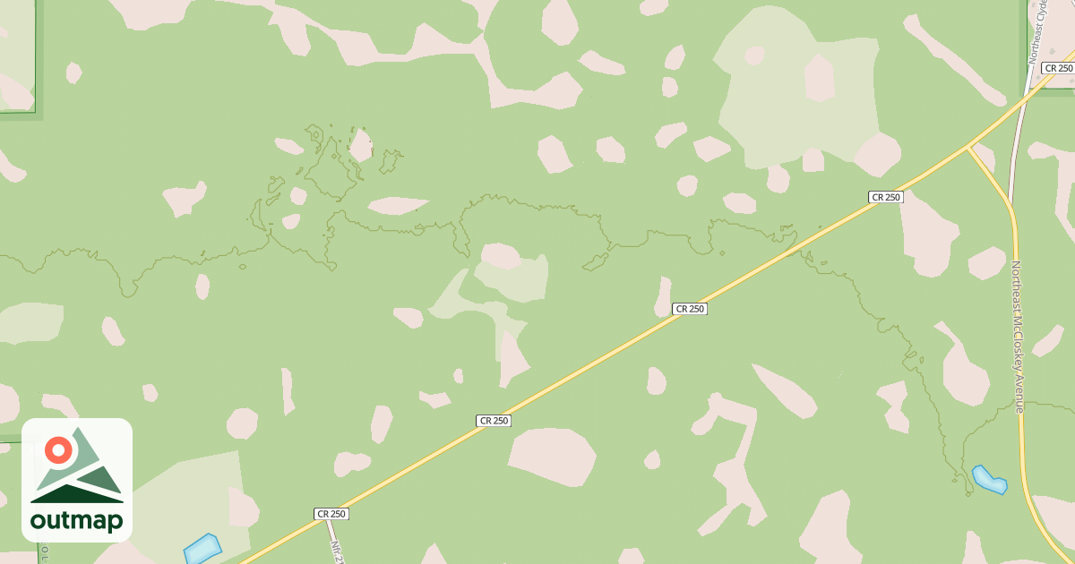Map of USFS National Forest System Roads {2268DEF1-83AF-40AD-9188-66F0683AB998}
