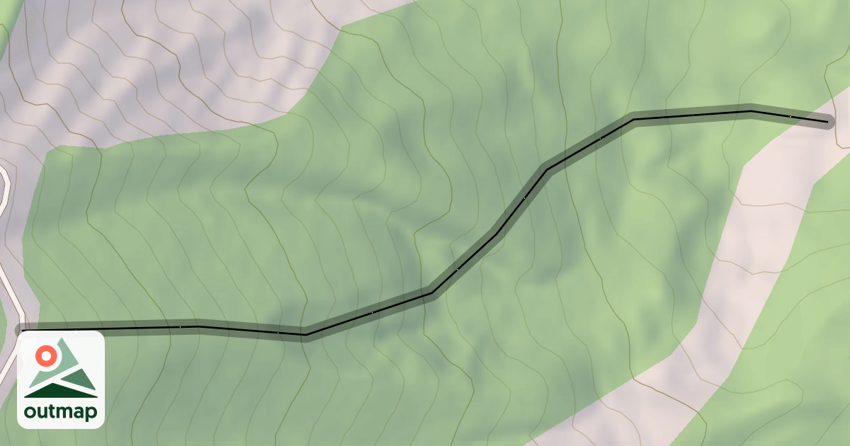 Map of Back Alley Glade
