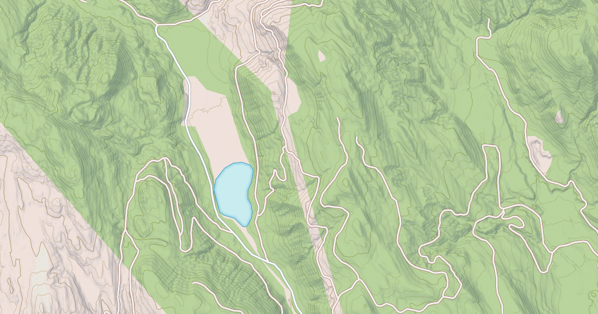 Map preview of USFS Motor Vehicle Use Map Roads {14496902-7C33-4E6D-8283-BB9648341F21}