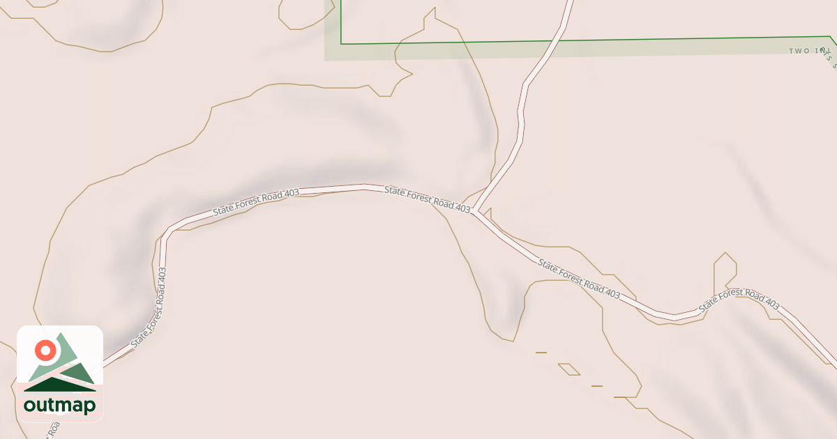 Map of Forest Riders Trails